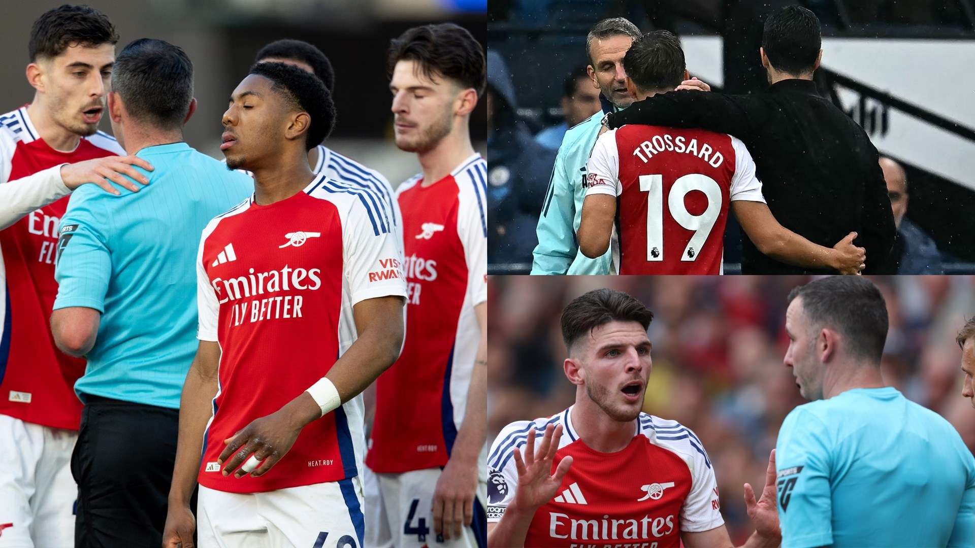 这已经是梅 这已经是梅