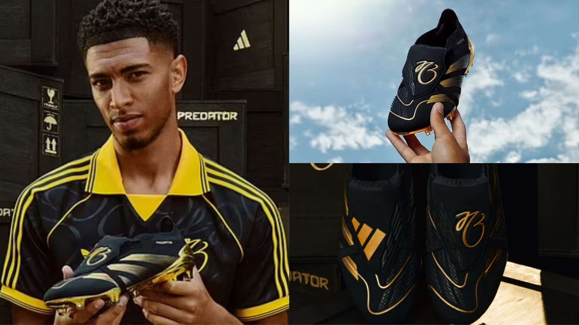 为埃弗拉的 为埃弗拉的